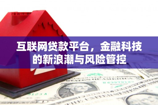 沙洋互联网贷款平台，金融科技的新浪潮与风险管控