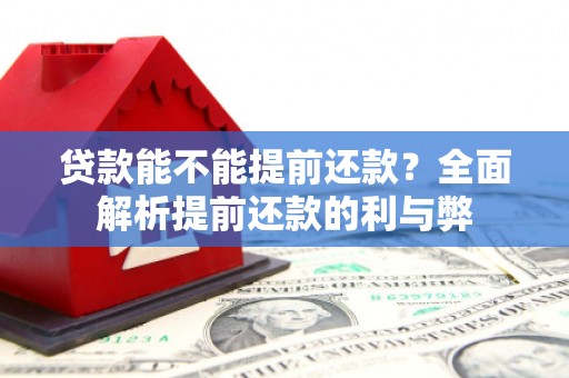 沙洋贷款能不能提前还款？全面解析提前还款的利与弊