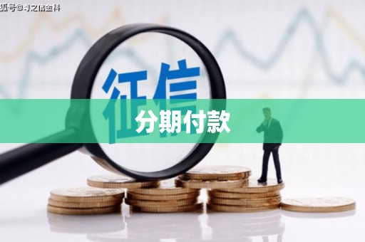 沙洋分期付款