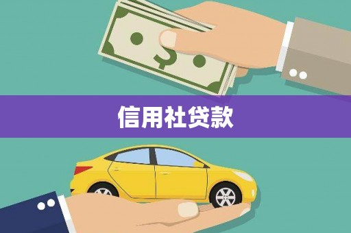 沙洋信用社贷款