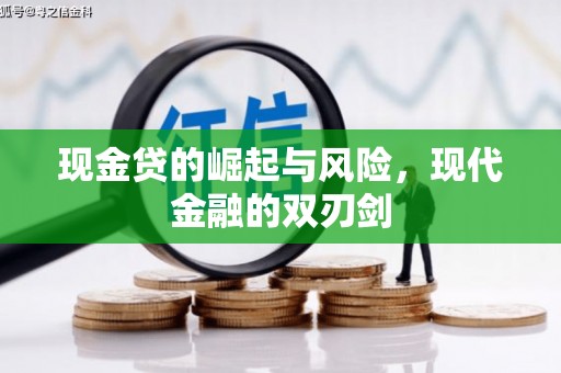 沙洋现金贷的崛起与风险，现代金融的双刃剑