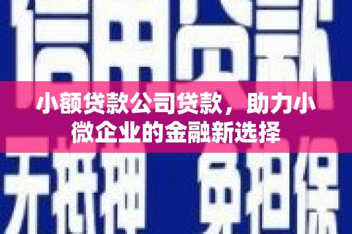 沙洋小额贷款公司贷款，助力小微企业的金融新选择