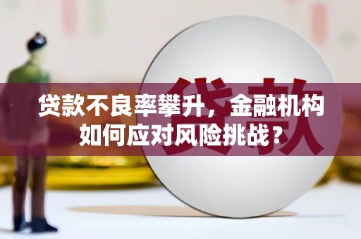沙洋贷款不良率攀升，金融机构如何应对风险挑战？