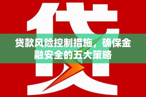 沙洋贷款风险控制措施，确保金融安全的五大策略