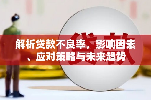 沙洋解析贷款不良率，影响因素、应对策略与未来趋势