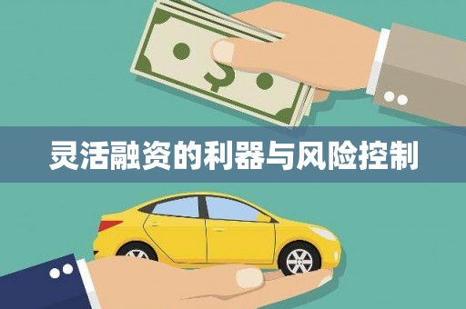 沙洋灵活融资的利器与风险控制