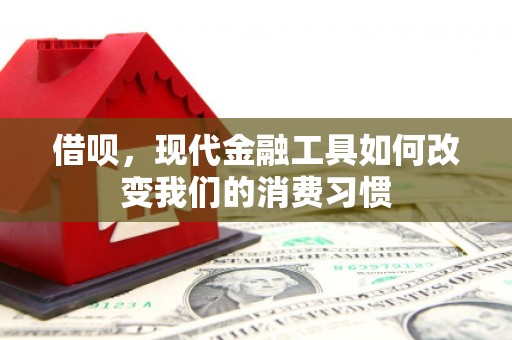沙洋借呗，现代金融工具如何改变我们的消费习惯