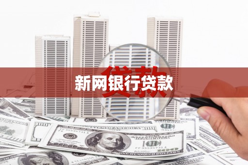 沙洋新网银行贷款