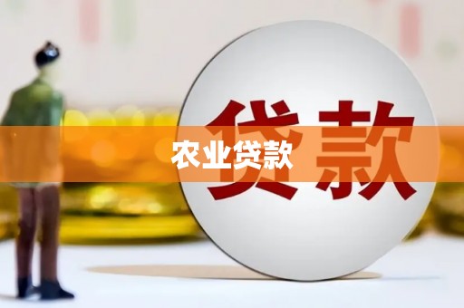 沙洋农业贷款
