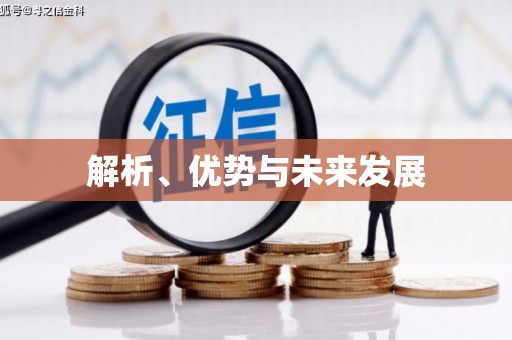 沙洋解析、优势与未来发展