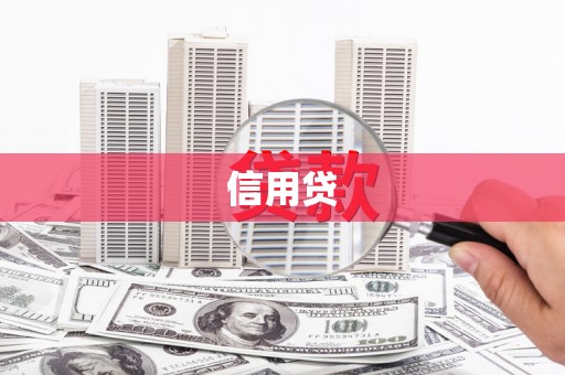 沙洋信用贷