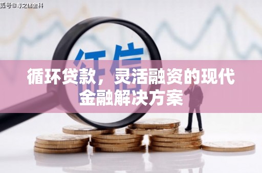沙洋循环贷款，灵活融资的现代金融解决方案