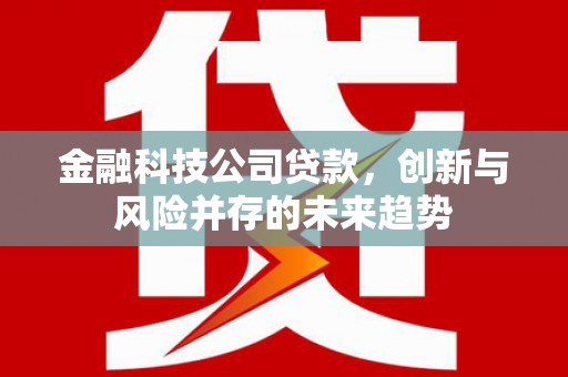 沙洋金融科技公司贷款，创新与风险并存的未来趋势
