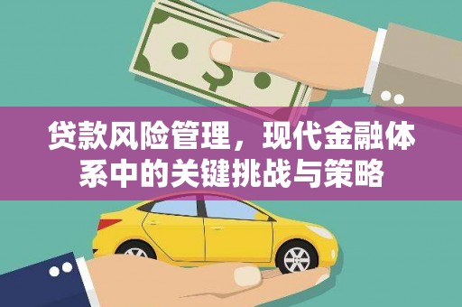 沙洋贷款风险管理，现代金融体系中的关键挑战与策略
