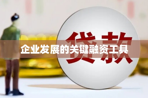 沙洋企业发展的关键融资工具