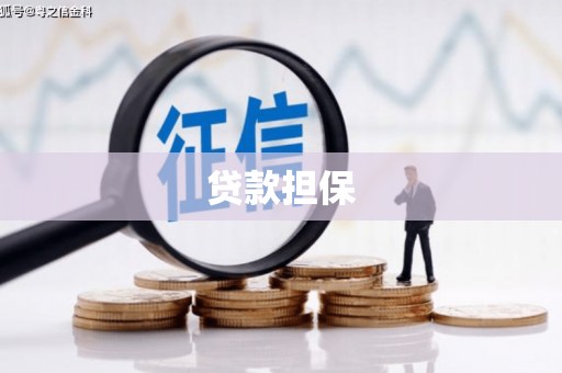 沙洋贷款担保