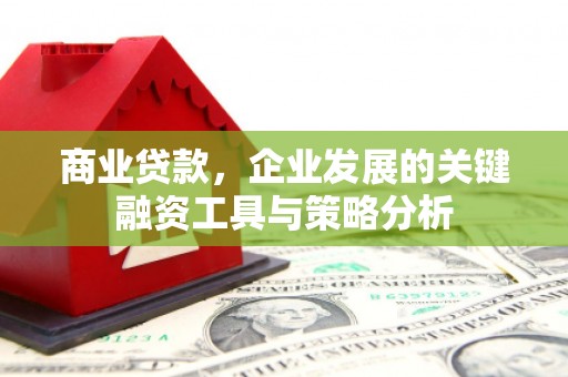 沙洋商业贷款，企业发展的关键融资工具与策略分析