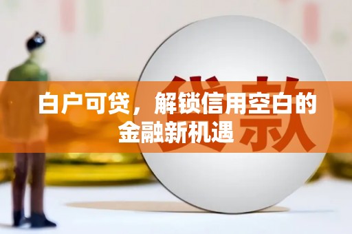 沙洋白户可贷，解锁信用空白的金融新机遇