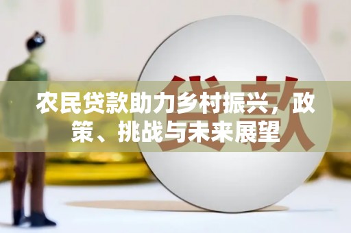 沙洋农民贷款助力乡村振兴，政策、挑战与未来展望