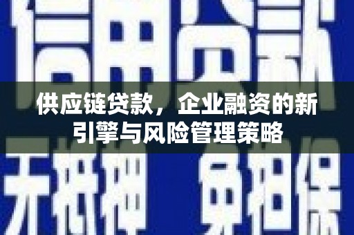 沙洋供应链贷款，企业融资的新引擎与风险管理策略