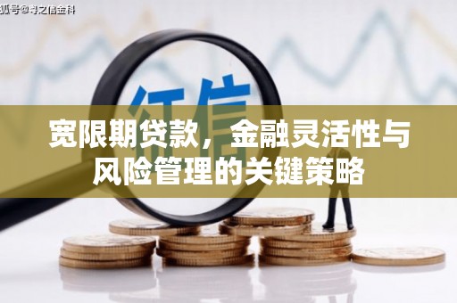 沙洋宽限期贷款，金融灵活性与风险管理的关键策略