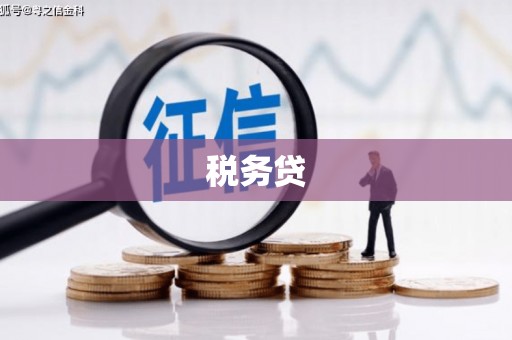 沙洋税务贷