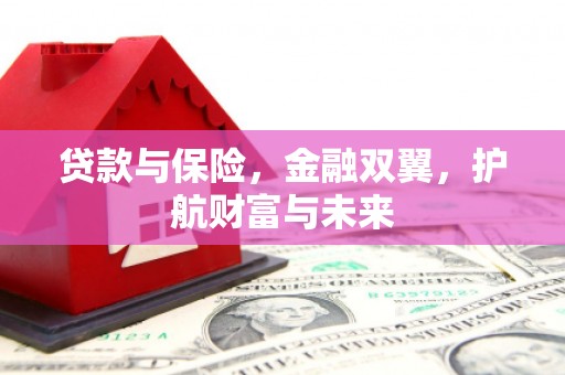 沙洋贷款与保险，金融双翼，护航财富与未来