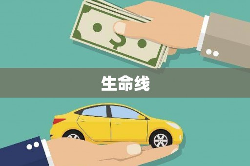 沙洋生命线
