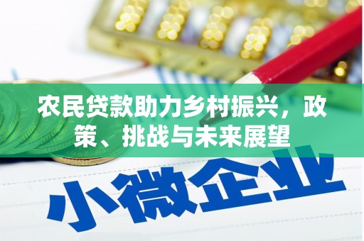 沙洋农民贷款助力乡村振兴，政策、挑战与未来展望