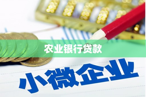 沙洋农业银行贷款
