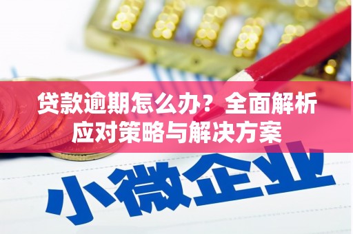 沙洋贷款逾期怎么办？全面解析应对策略与解决方案