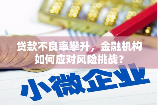 沙洋贷款不良率攀升，金融机构如何应对风险挑战？