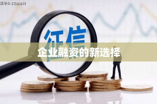沙洋企业融资的新选择