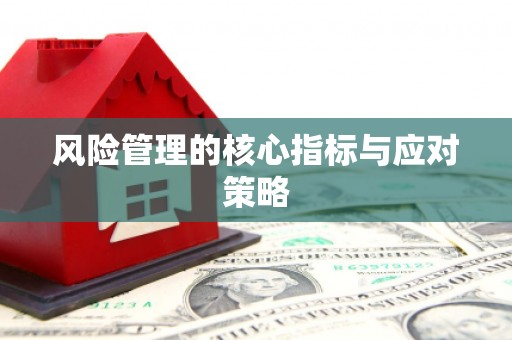沙洋风险管理的核心指标与应对策略