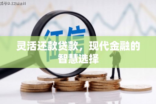 沙洋灵活还款贷款，现代金融的智慧选择