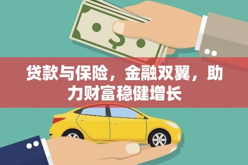 沙洋贷款与保险，金融双翼，助力财富稳健增长