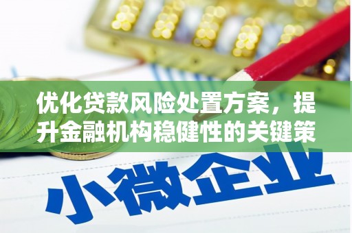 沙洋优化贷款风险处置方案，提升金融机构稳健性的关键策略