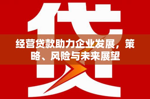 沙洋经营贷款助力企业发展，策略、风险与未来展望