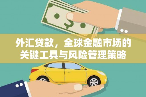 沙洋外汇贷款，全球金融市场的关键工具与风险管理策略
