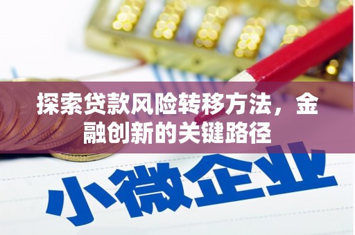 沙洋探索贷款风险转移方法，金融创新的关键路径