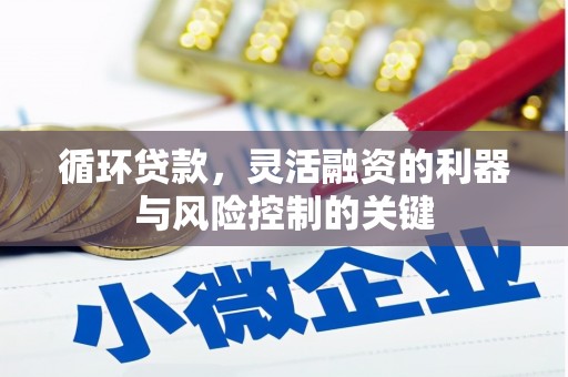 沙洋循环贷款，灵活融资的利器与风险控制的关键
