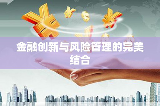 沙洋金融创新与风险管理的完美结合