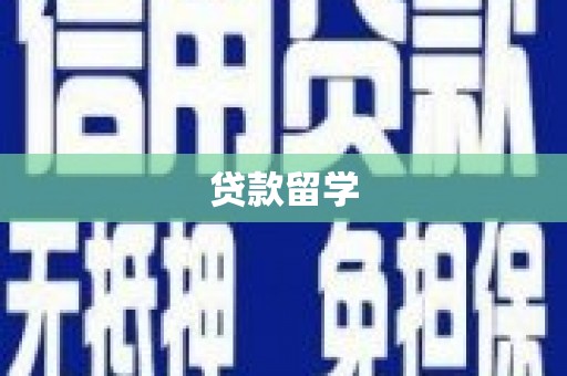沙洋贷款留学