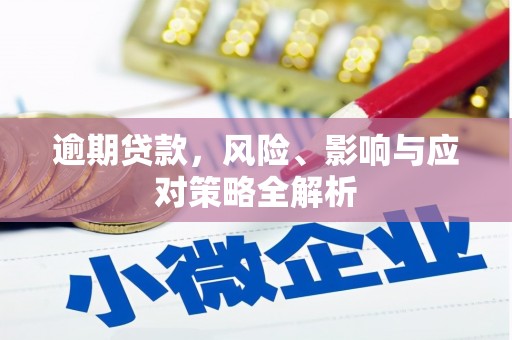 沙洋逾期贷款，风险、影响与应对策略全解析