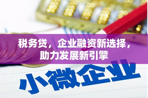 沙洋税务贷，企业融资新选择，助力发展新引擎