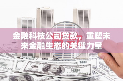 沙洋金融科技公司贷款，重塑未来金融生态的关键力量