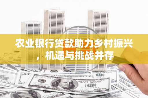 沙洋农业银行贷款助力乡村振兴，机遇与挑战并存