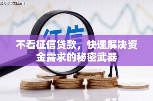 沙洋不看征信贷款，快速解决资金需求的秘密武器