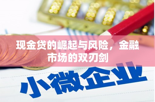 沙洋现金贷的崛起与风险，金融市场的双刃剑