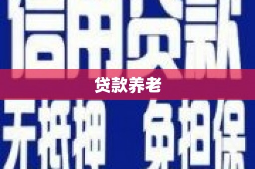 沙洋贷款养老